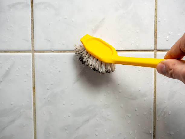 Best Office Mold Removal Services  in Kaunakakai, HI