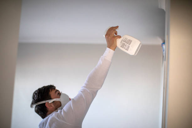 Best Mold Removal Process  in Kaunakakai, HI