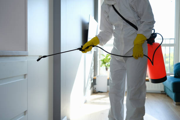 Mold Removal and Inspection in Kaunakakai, HI